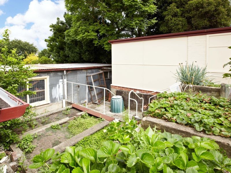 5 Callan Street, Rozelle NSW 2039