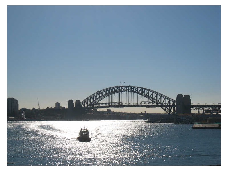 31/3 Gallimore Avenue, Balmain East NSW 2041