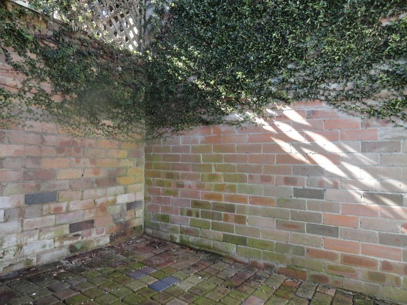 6 Carrington Street, Balmain NSW 2041