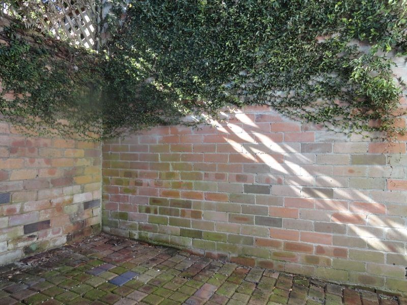 6 Carrington Street, Balmain NSW 2041