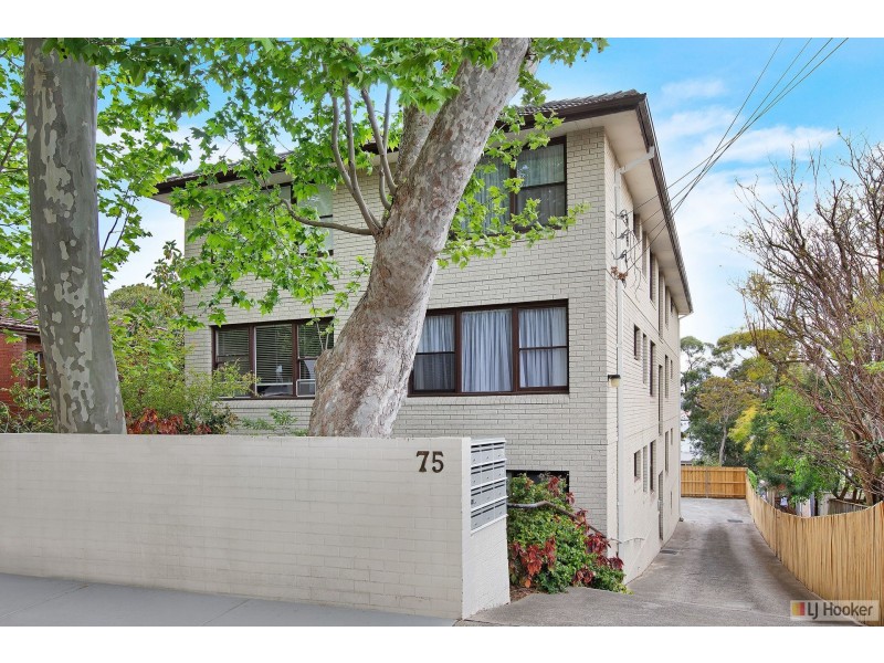 8/75 Glassop Street, Balmain NSW 2041