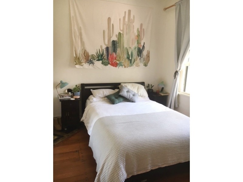 24 Glassop Street, Balmain NSW 2041