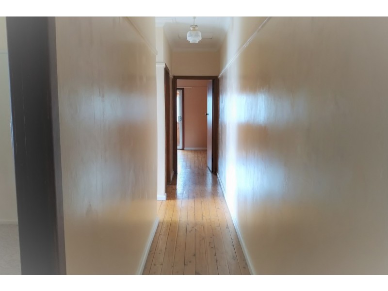 8 Pashley Street, Balmain NSW 2041