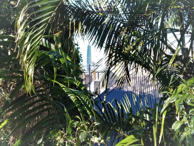 1./41 Mullens Street, Balmain NSW 2041