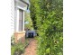 8 Fred Street, Lilyfield NSW 2040