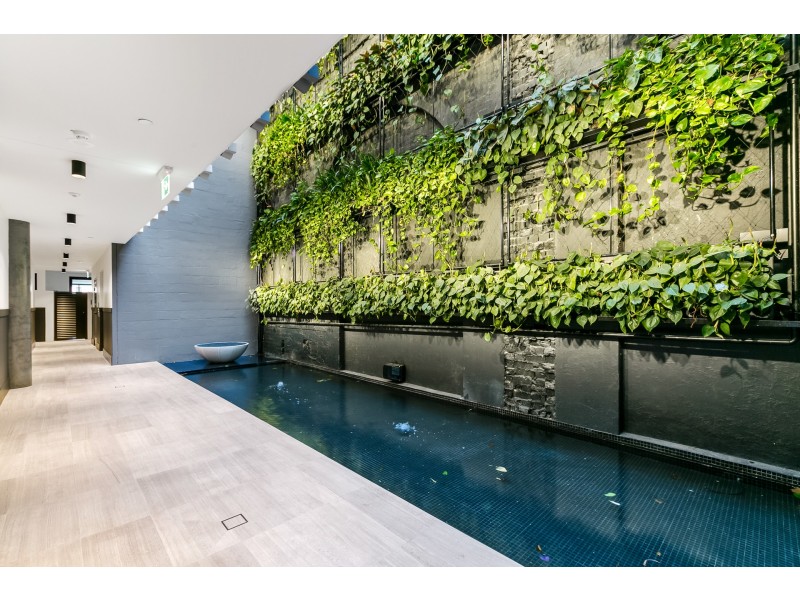 105/2A Rowntree Street, Balmain NSW 2041