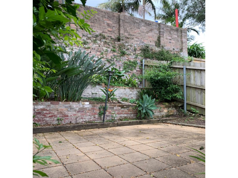 8 Pashley Street, Balmain NSW 2041