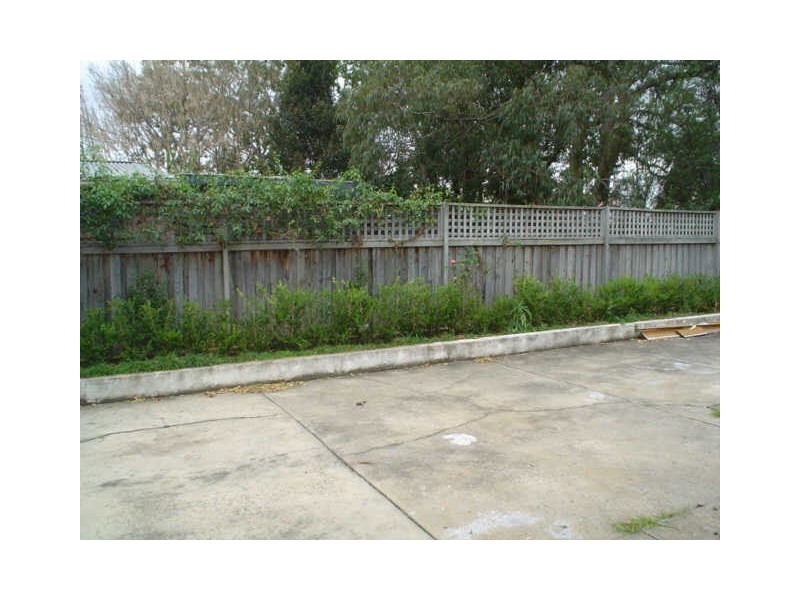 11 Young Street, Balmain NSW 2041