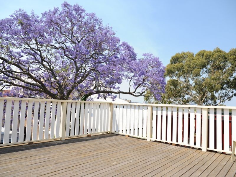 11 Llewellyn Street, Balmain NSW 2041