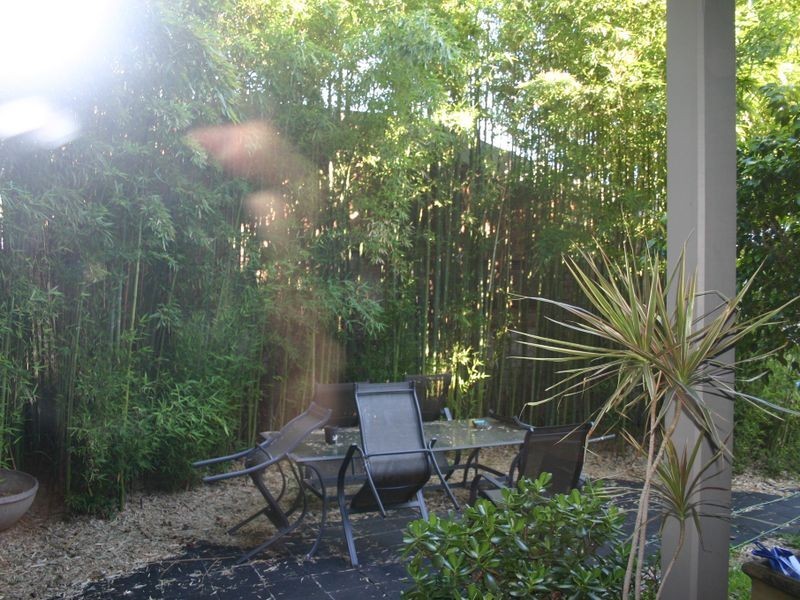 53 Mansfield Street, Rozelle NSW 2039