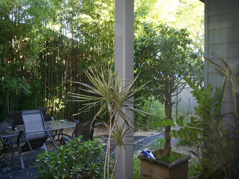 53 Mansfield Street, Rozelle NSW 2039