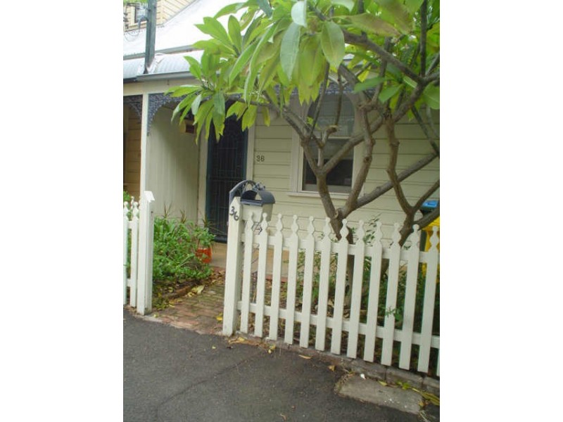 36 Clayton Street, Balmain NSW 2041