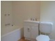 2 Little Arthur Street, Balmain NSW 2041
