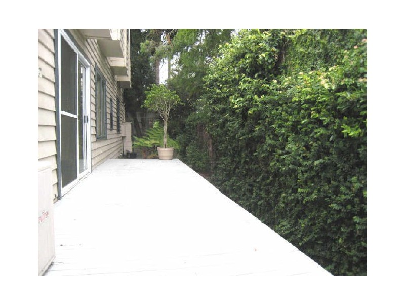 2/41 Mullens Street, Balmain NSW 2041