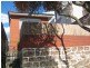 117 Charles Street, Lilyfield NSW 2040