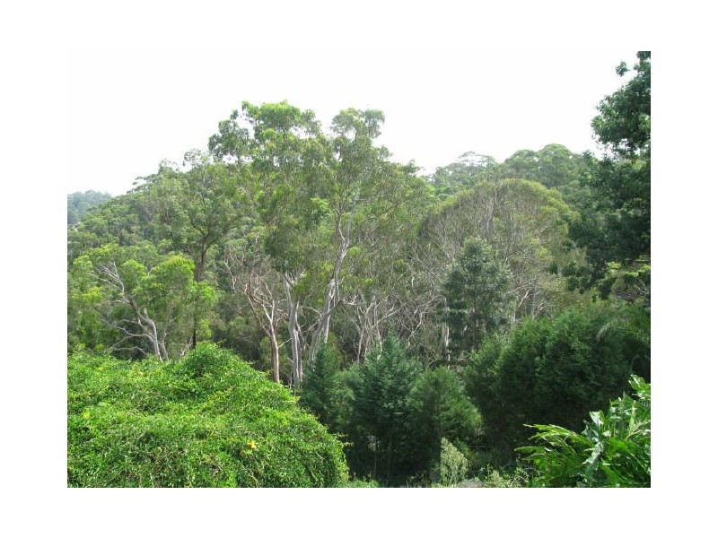 1-8/89-93 Ogilvy Street, Peakhurst NSW 2210