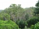 89-93 Ogilvy Street, Peakhurst NSW 2210