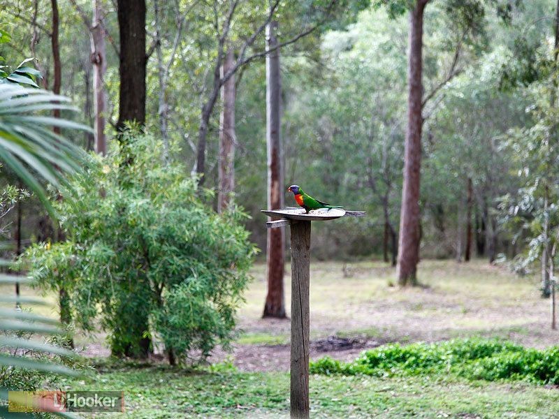 Clear Mountain QLD 4500