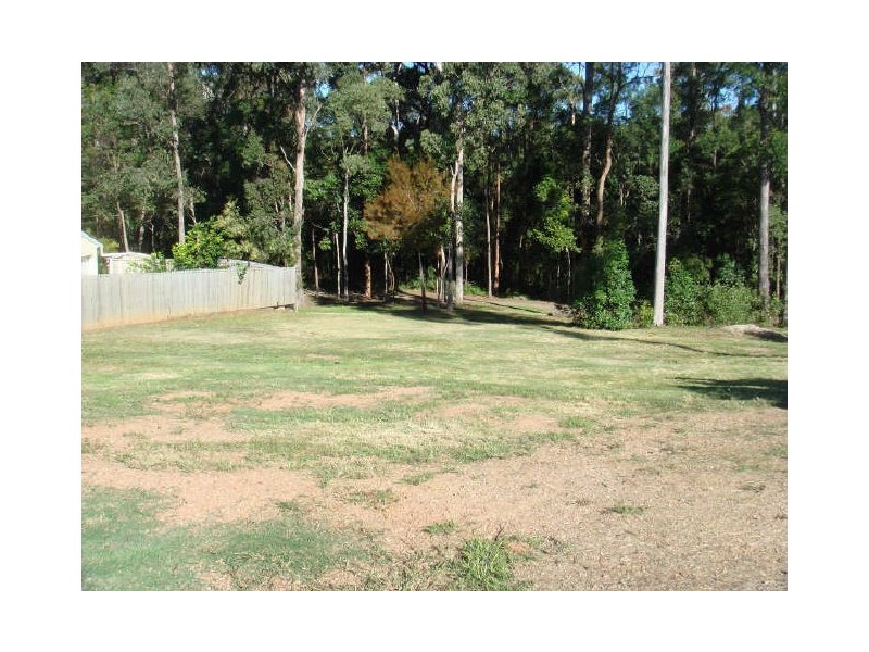 61 Arbour Street, Bridgeman Downs QLD 4035