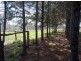 705 Birthamba Road, South Kolan QLD 4670