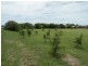Lot 8 Homestead Boulevard, Coral Cove QLD 4670