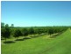 Lot 4 Hawe Road, Electra QLD 4670
