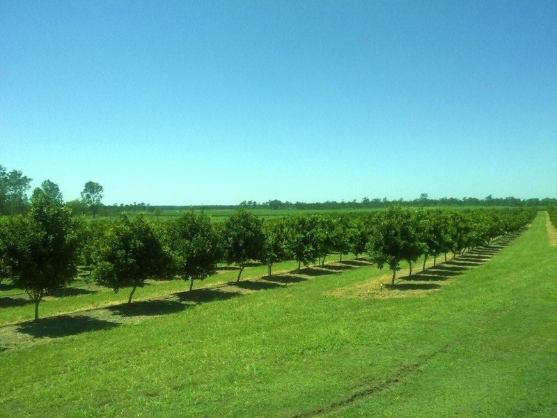 Lot 4 Hawe Road, Electra QLD 4670