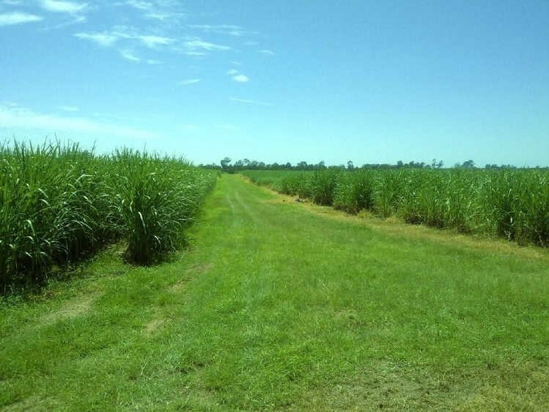 Lot 4 Hawe Road, Electra QLD 4670