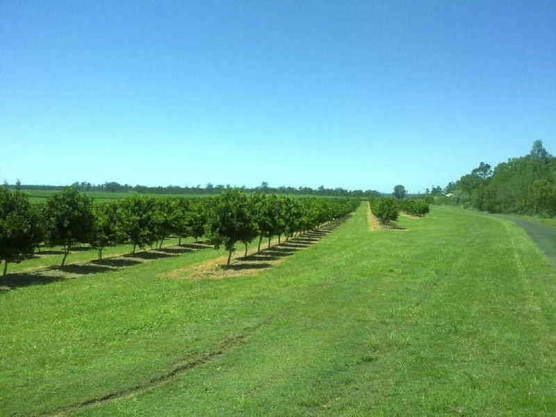 Lot 4 Hawe Road, Electra QLD 4670
