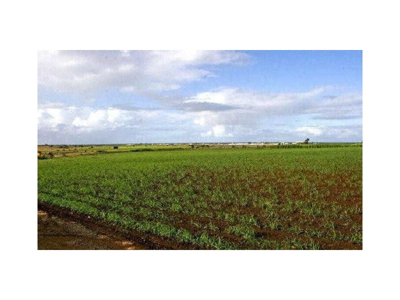 551 Windermere Road, Bargara QLD 4670