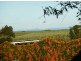 Bargara QLD 4670