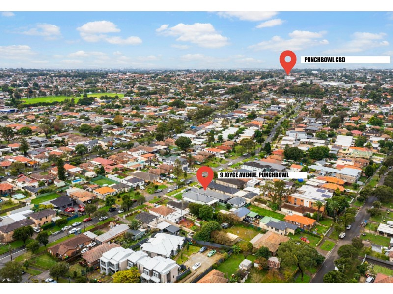 9 Joyce Street, Punchbowl NSW 2196