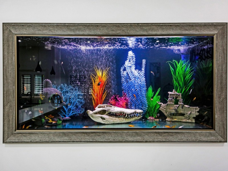 80 Columbine Avenue, Punchbowl NSW 2196