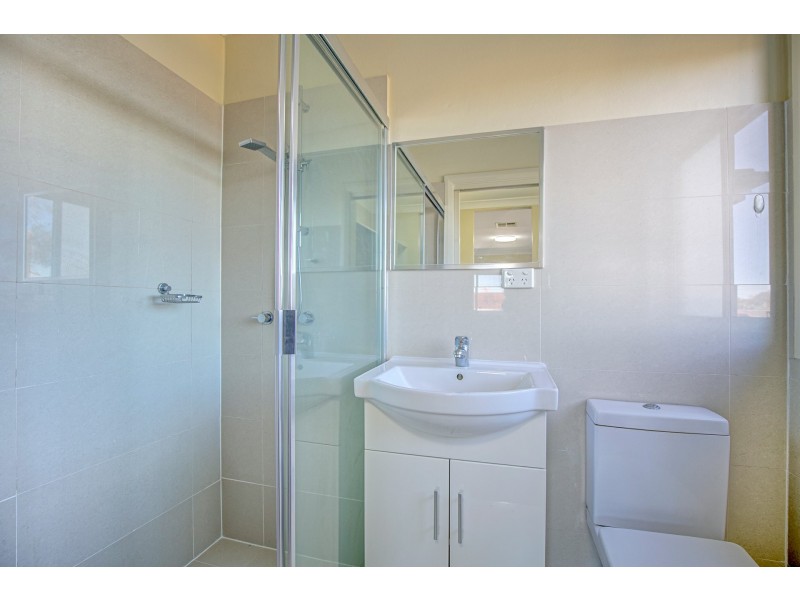 96 Virgil Avenue, Chester Hill NSW 2162