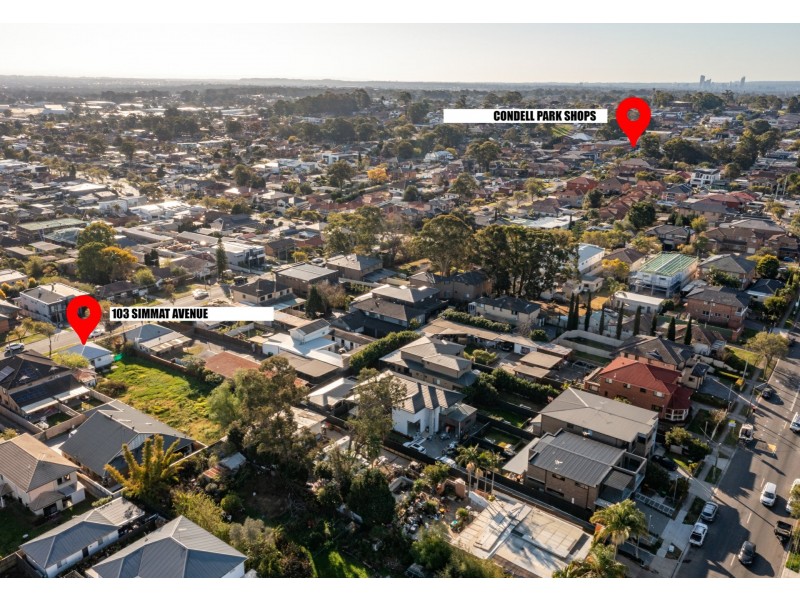 103 Simmat Avenue, Condell Park NSW 2200