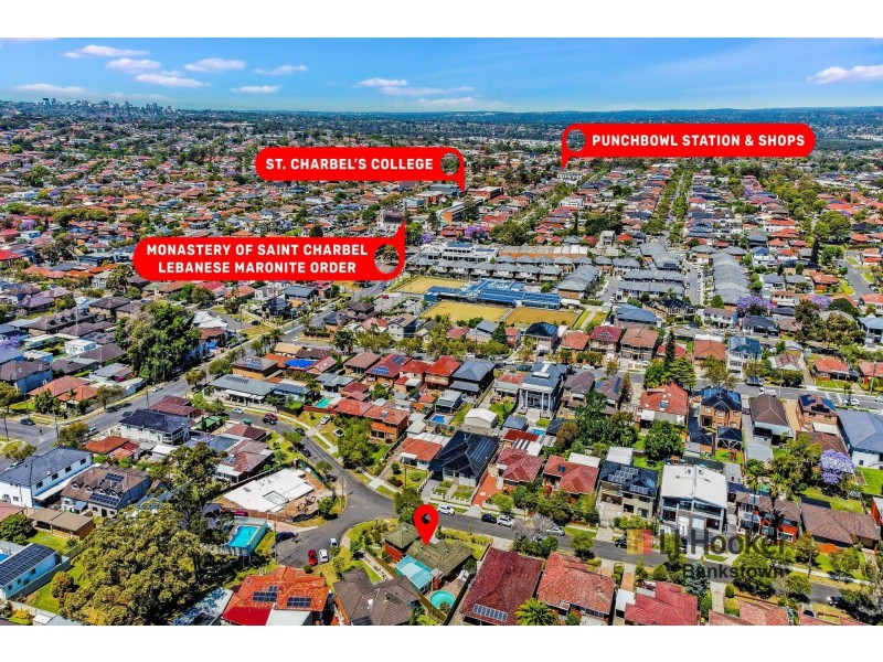 14 Tonga Close, Greenacre NSW 2190