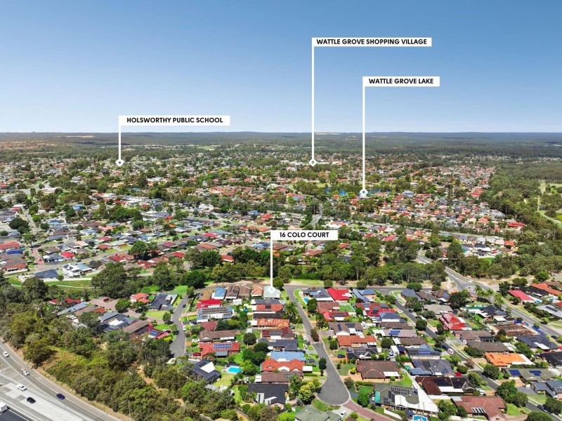 16 Colo Court, Wattle Grove NSW 2173