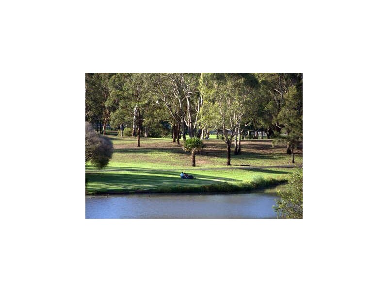 Georges Hall NSW 2198