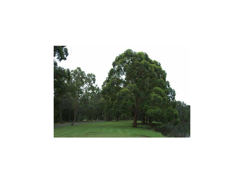 Georges Hall NSW 2198