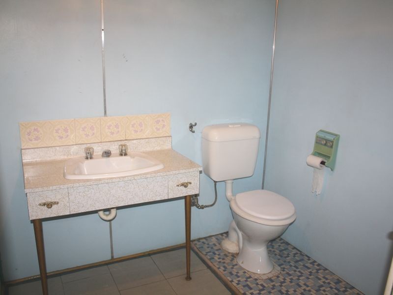 157 Griffiths Avenue, Bankstown NSW 2200