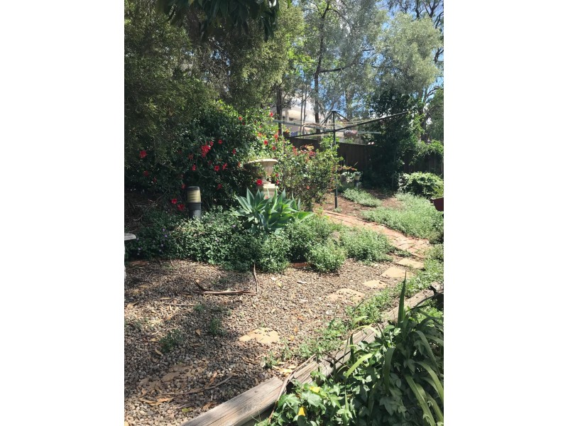 35 Wren St, Condell Park NSW 2200