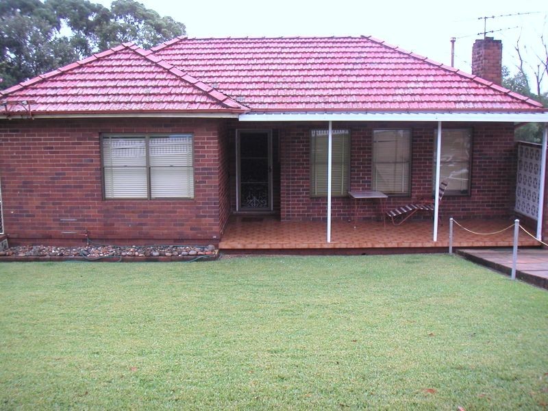 Mount Lewis NSW 2200