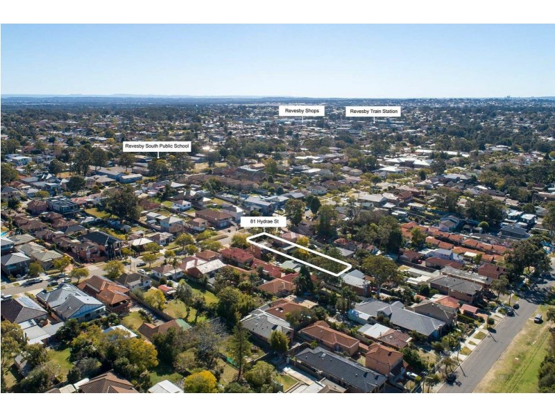 81 Hydrae Street, Revesby NSW 2212