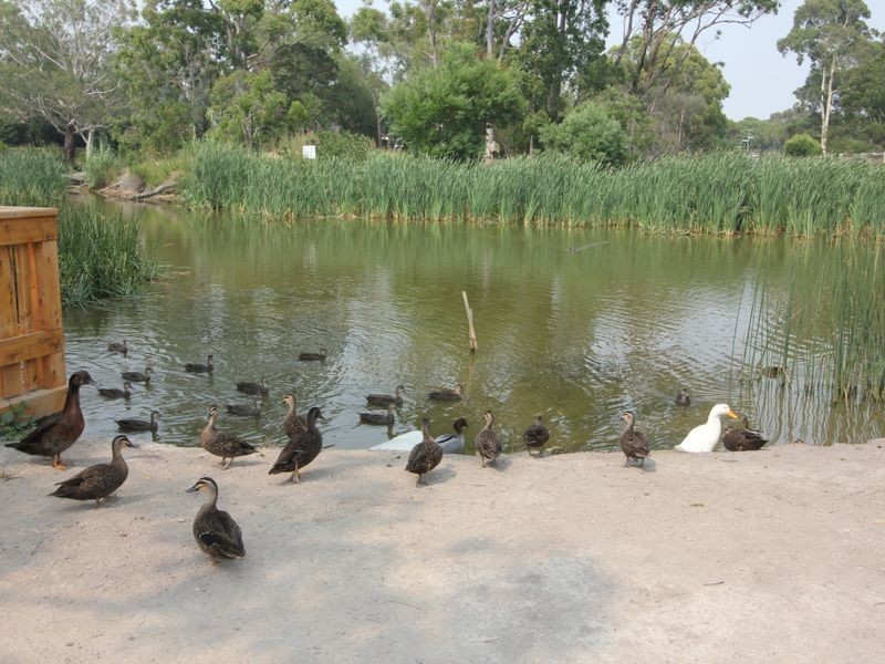 1/300 Heatherhill Road, Frankston VIC 3199