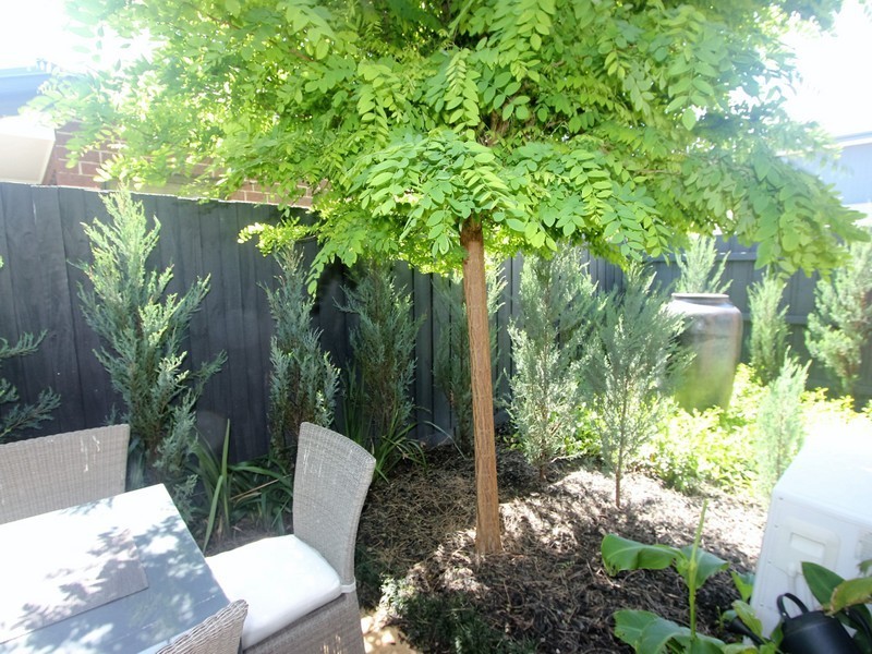 1 169 Beach Street, Frankston VIC 3199