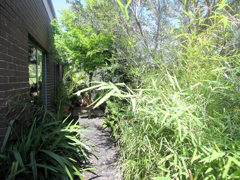 1 169 Beach Street, Frankston VIC 3199