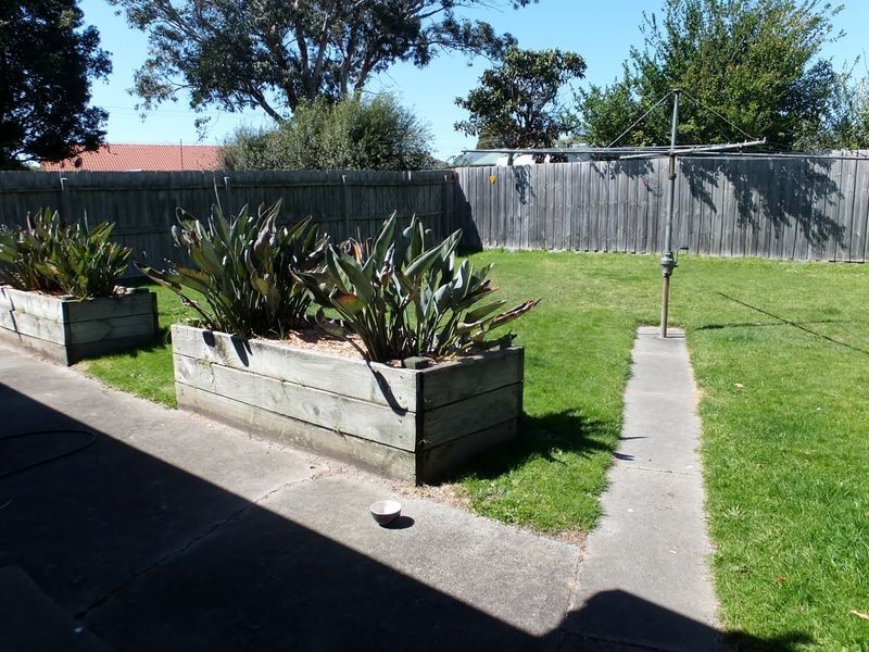 431 Frankston Dandenong Road, Frankston North VIC 3200