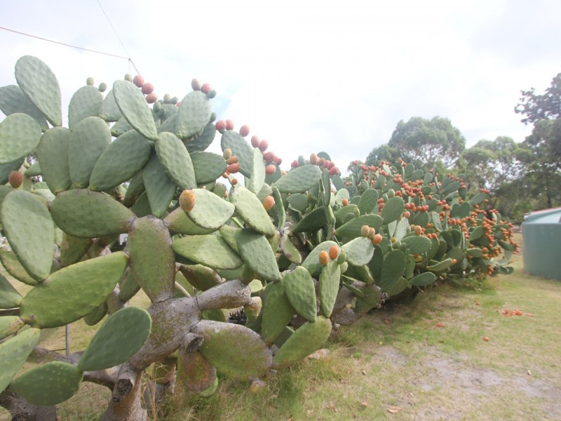 55-63 Kilgowers Road, Langsborough VIC 3971