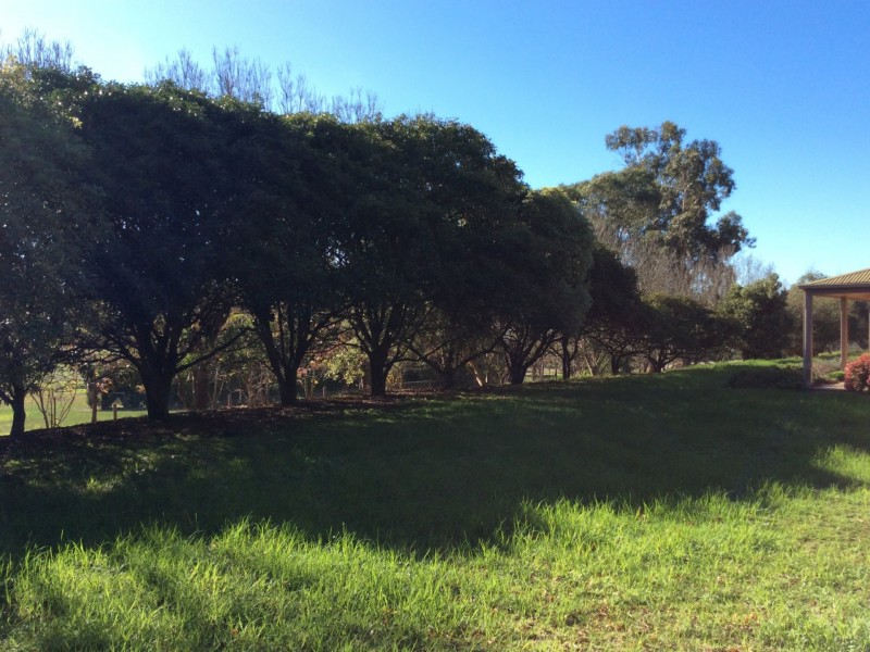 36 Roberts Road, Mornington VIC 3931