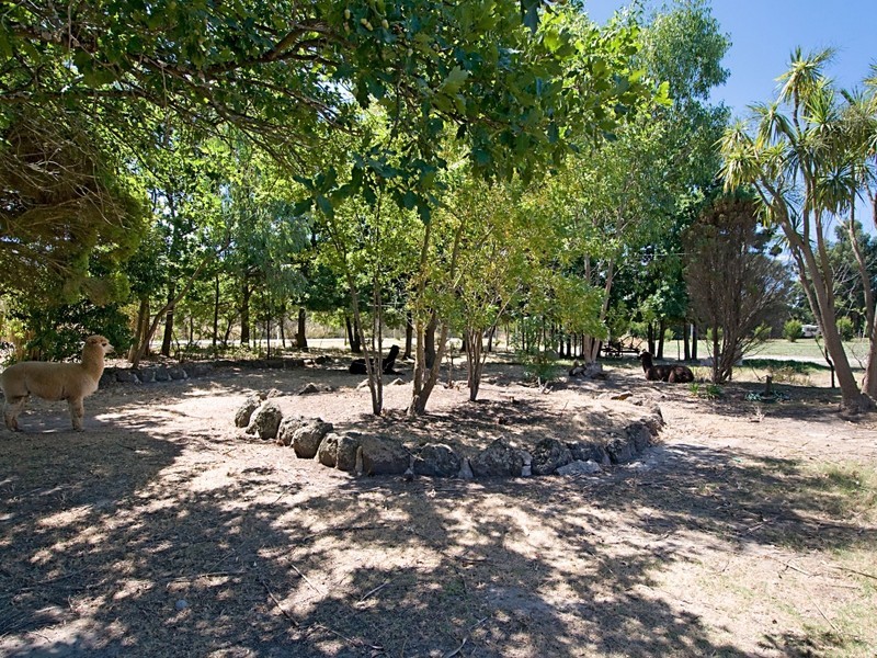 270 Warrandyte Road, Langwarrin VIC 3910